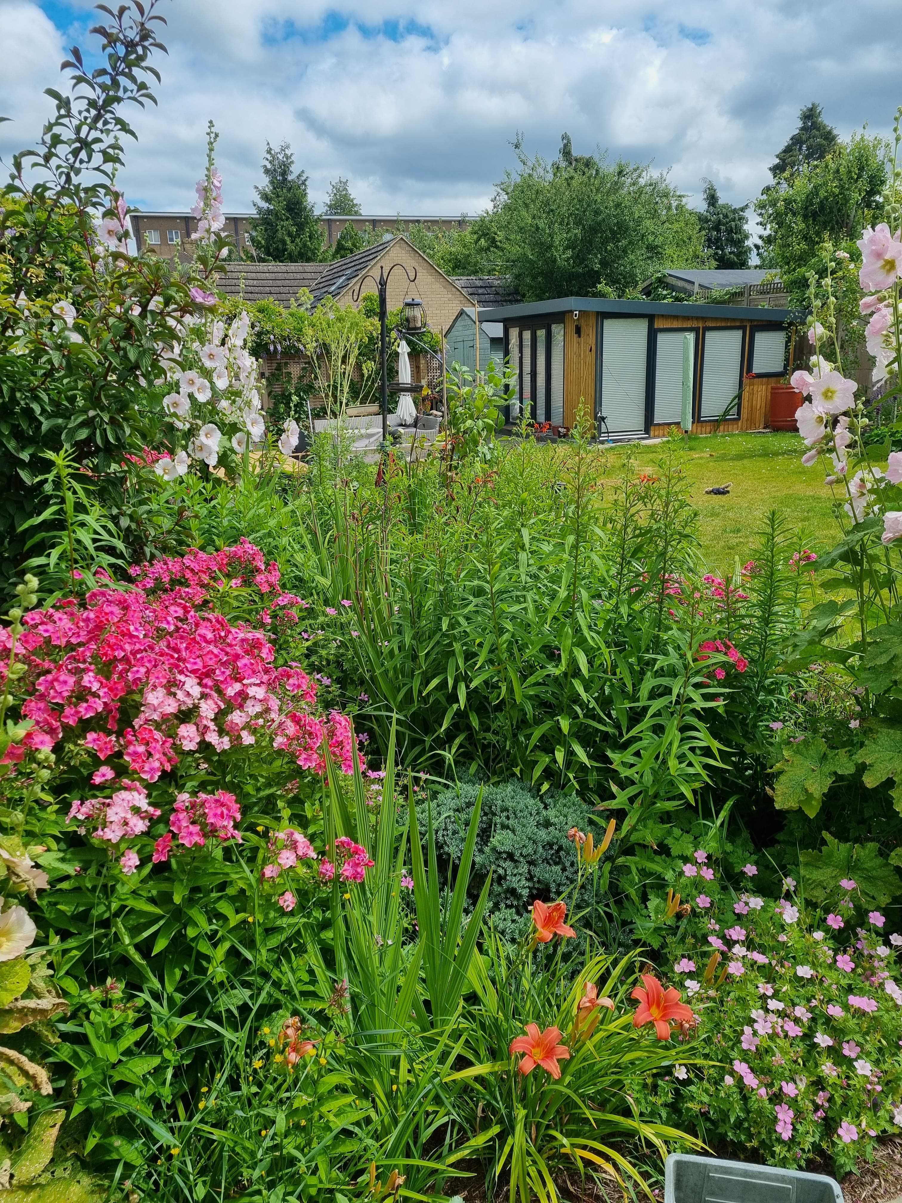Finished garden transformation